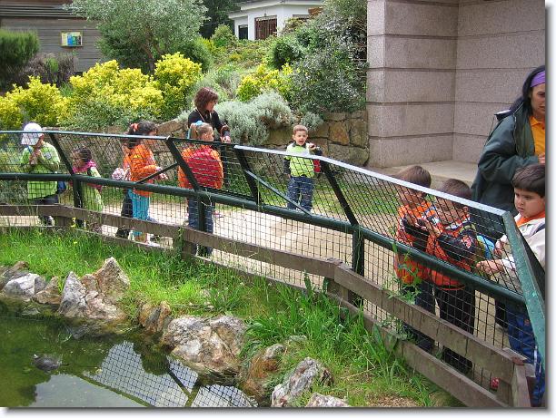 Diapositiva siguiente